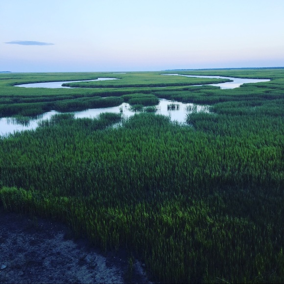 A Twisted Hanger! - Picture 2 of 2